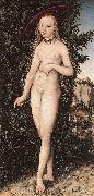 CRANACH, Lucas the Elder Venus Standing in a Landscape  fdg oil painting artist